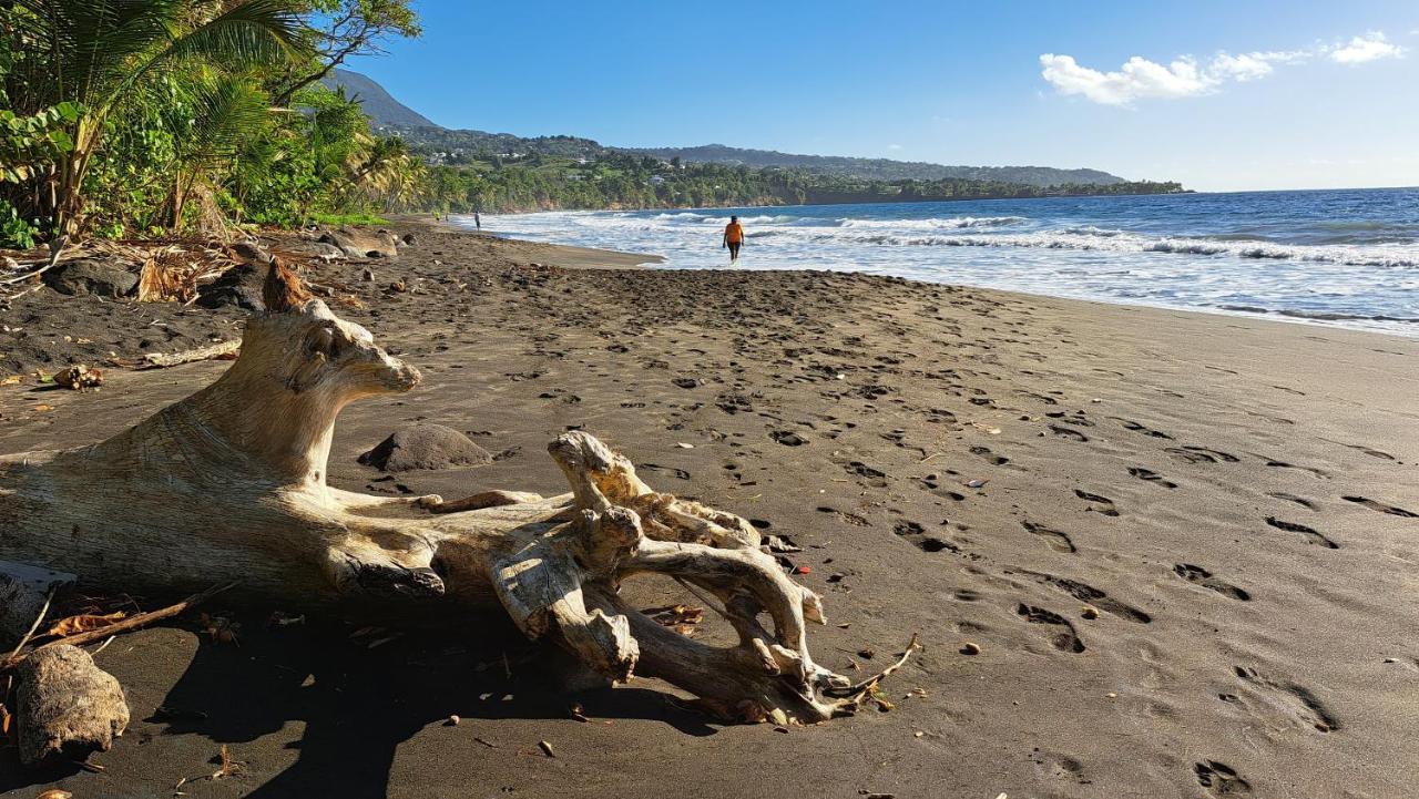 Appartamento Escale A Grande Anse Trois-Rivières Esterno foto